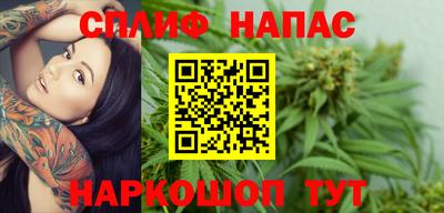 гидра Донецк