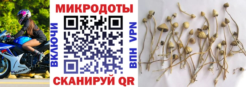 blacksprut ссылки  Полевской  Галлюциногенные грибы Cubensis 