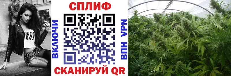 Конопля Amnesia  даркнет наркотические препараты  Полевской 